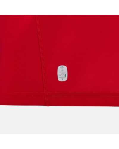 Maillot Pays de Galles Domicile 2024/2025