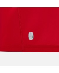 Maillot Pays de Galles Domicile 2024/2025