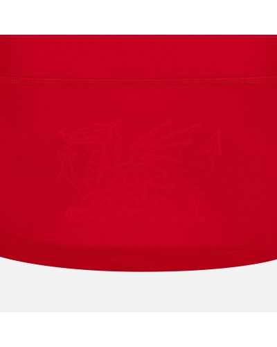 Maillot Pays de Galles Domicile 2024/2025