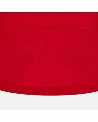 Maillot Pays de Galles Domicile 2024/2025