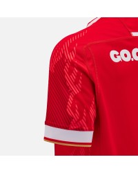 Maillot Pays de Galles Domicile 2024/2025