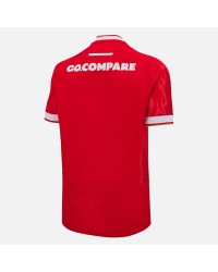 Maillot Pays de Galles Domicile 2024/2025
